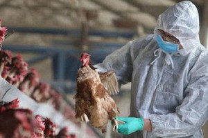 （示意圖源：互聯網） 