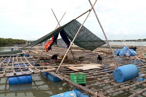 圖為木仁河上一養魚網箱。（圖源：孟軻）
