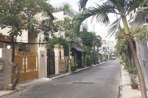 舊邑郡一民居區按綠色-清潔-美觀模式綠化自己的巷子。（圖源：雙珠）