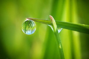 （示意圖源：互聯網） 