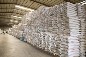 國家儲備米庫一隅。（圖：VGP）