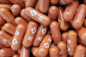 新冠口服藥物“莫那比拉韋”。（圖：互聯網）