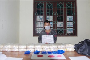 奠邊破獲毒品專案