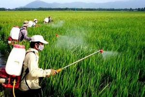 安全和有效使用農藥。（示意圖：互聯網）