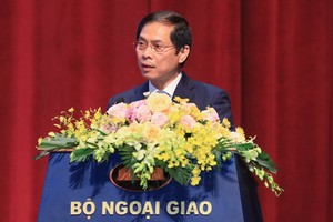 外交部長裴青山在會議上發言。（圖：楊玉）