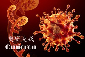 奧密克戎新冠變異毒株。（示意圖：互聯網）