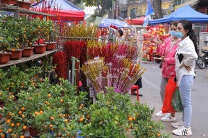 儘量讓民眾歡度安康溫馨春節。（圖：互聯網）