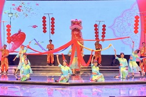 《騰歡彩舞》演出精彩的一幕。