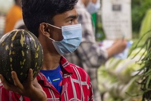 自新冠大流行以來，亞太地區的飢餓人口增加了 5000多萬。（圖：FAO）