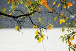 （示意圖：互聯網）