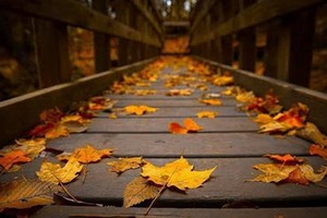 （示意圖：互聯網）