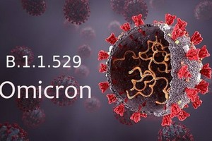 新冠變異毒株奧密克戎。（示意圖：互聯網）