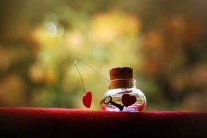 （示意圖：互聯網）