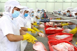 西貢水海產貿易股份公司的商品加工一瞥。