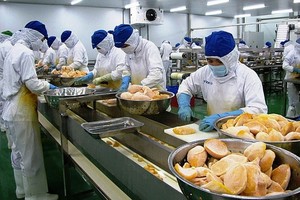 今年前11個月，農業領域已完成出口額達435億美元，同比增長14.2%的目標。