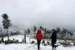 北部不日即將迎來嚴寒天氣。（示意圖：互聯網）