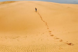 （示意圖：互聯網）