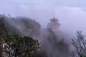 （示意圖：互聯網）