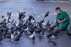 在參加抗疫期間，阮海隆醫生於今年9月30日在第一郡阮惠街難得有平靜時刻。
