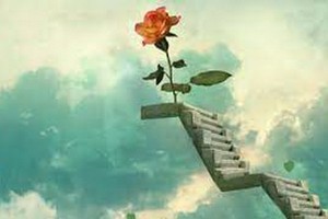 （示意圖：互聯網）