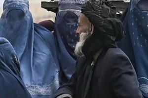 （示意圖：互聯網）