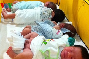 致力扶持越南新生兒成長