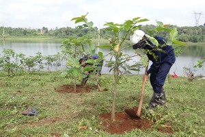 春節植樹運動發起