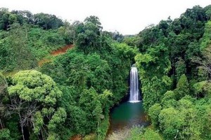 美麗的黑荀令人驚嘆。