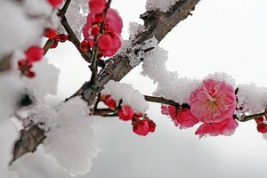 （示意圖：互聯網）