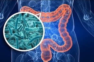 （示意圖：互聯網）