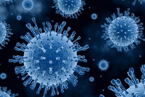 （示意圖：互聯網）