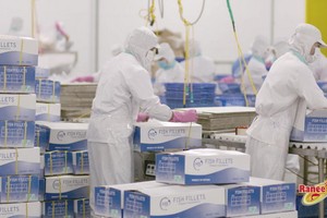 IDI 陸續收到南美洲的大量訂單。