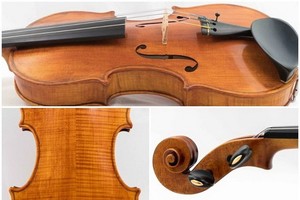 純素小提琴索價 8000 英鎊