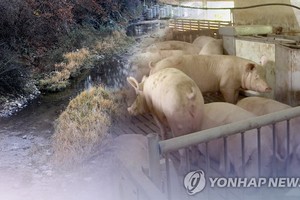 韓國和俄羅斯政府19日以視頻連線方式舉行“第十五次韓俄環境合作聯合委員會會議”，就非洲豬瘟疫情管理、大氣污染等各種環境領域合作項目進行了討論。（示意圖：韓聯社）