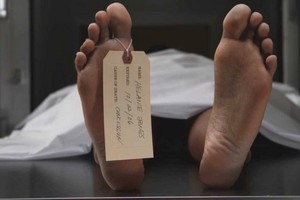 （示意圖：互聯網）