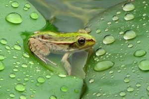 （示意圖：互聯網）