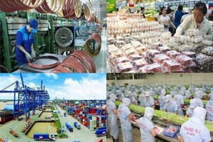 （示意圖：互聯網）