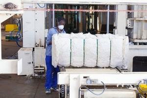 一名男子在南非約翰內斯堡的一家棉花工廠工作。（圖：聯合國）