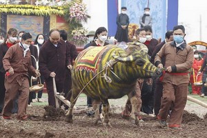 國家主席阮春福出席2022年籍田盛會並下田耕地。（圖：越通社）