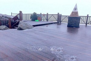 沙巴市的番西邦峰頂上都結起一層薄薄的冰霜。（圖：越通社）