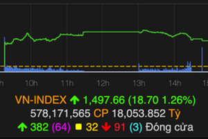 越南股指收盤上漲18.70點。