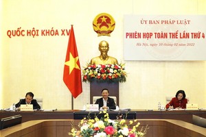 國會副主席阮克定（中）主持會議。（圖：Quochoi.vn）