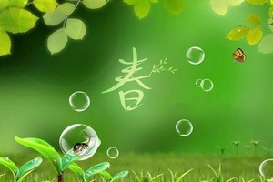 （示意圖：互聯網）