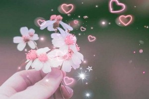 （示意圖：互聯網）