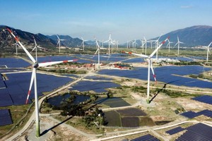 寧順風電場一景。（圖：TNO）