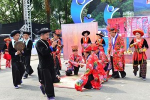 維護越南瑤族文化特色