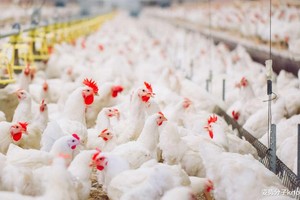 （示意圖：互聯網）