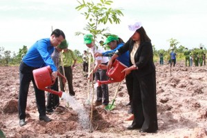 共青團中央書記吳文剛（左）同當地領導一起參加植樹澆水。（圖：黃平）