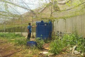 同奈省科學技術廳副廳長被捕