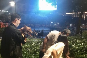 養寵者帶著狗狗到公園玩。